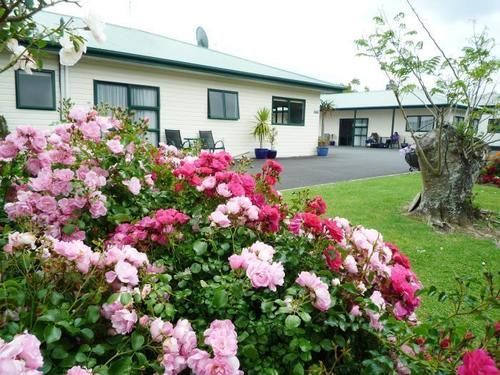 Coromandel Court Motel Εξωτερικό φωτογραφία